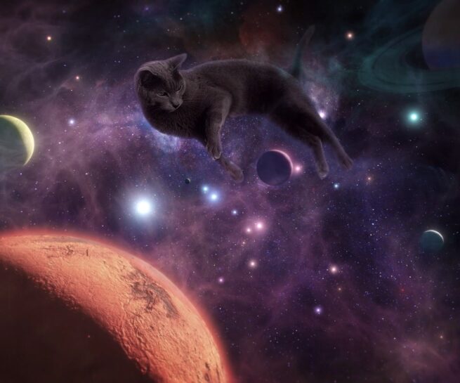 sheba am sleep lullaby ad friends electric sounddesign keepbig