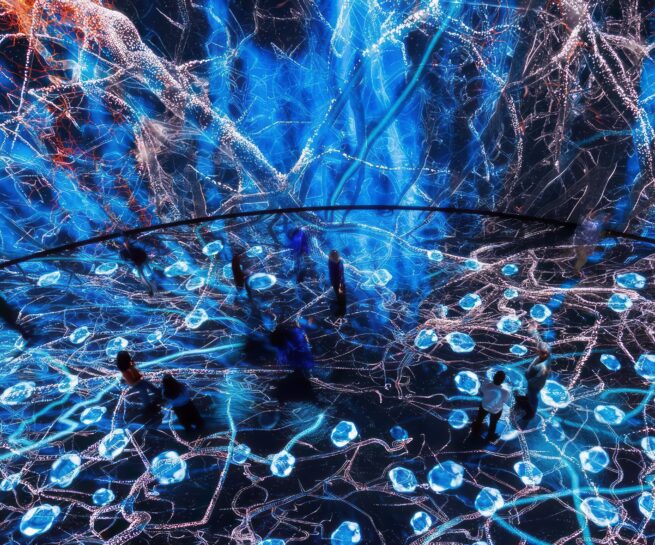 AMNH Studiokamp keepbig Gilder Center Sound Invisible Worlds David Kamp crop ups enhance x